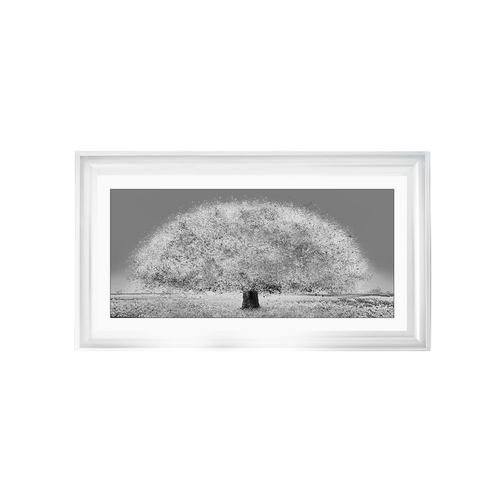 LS205 Black and white tree