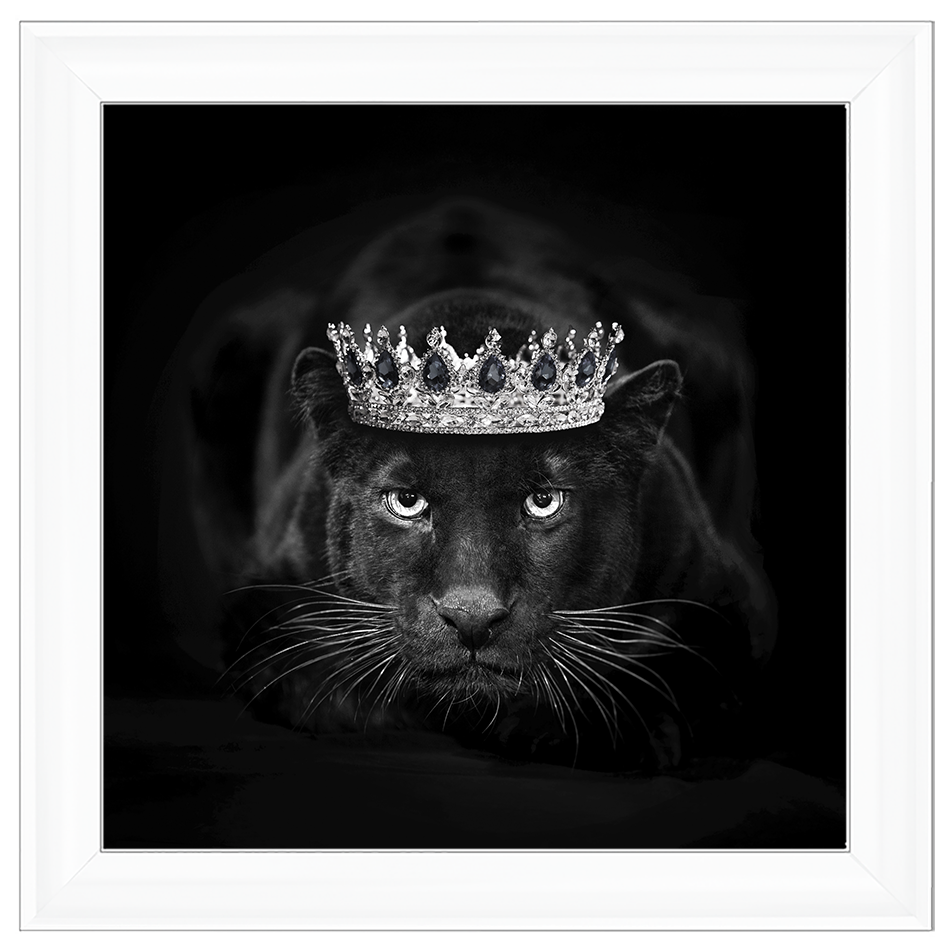 Royal Jaguar