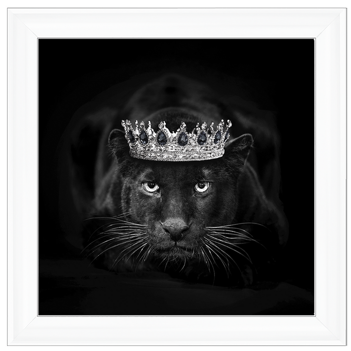 Royal Jaguar