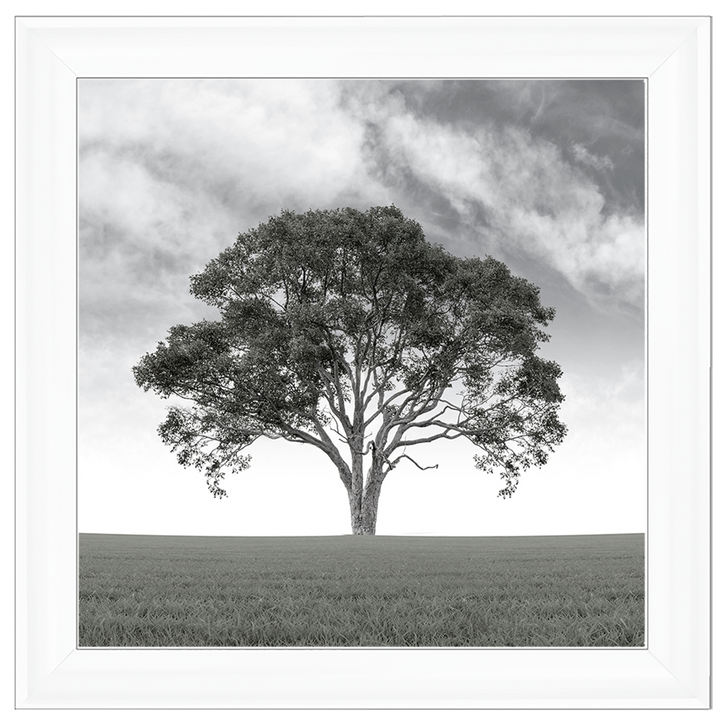 LS190 Lone Tree 1