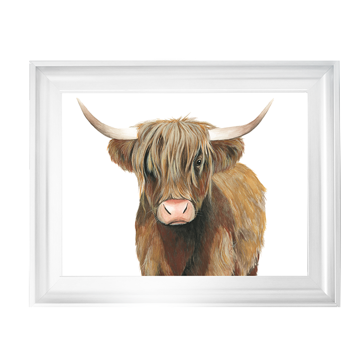 AN009 Highland Cattle II