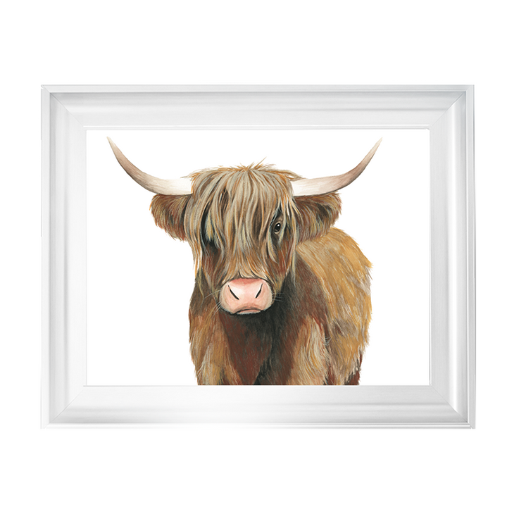 AN009 Highland Cattle II
