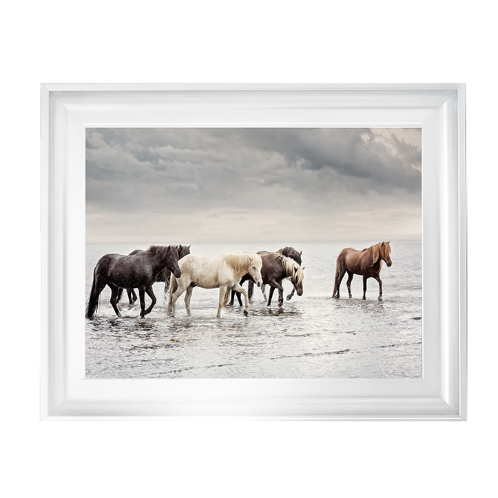 Water Horses IV