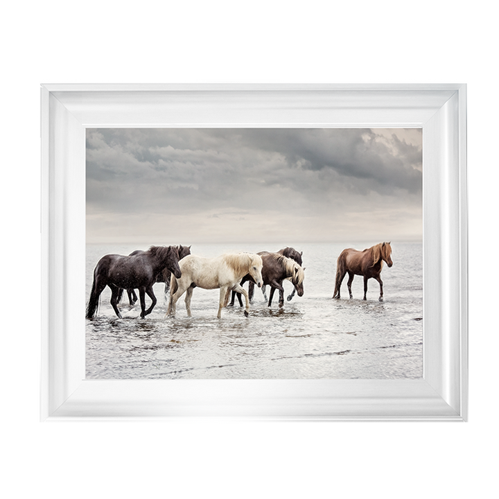 Water Horses IV