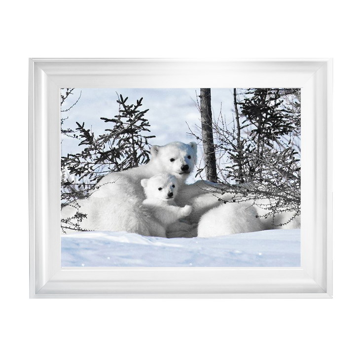 Winter Cubs