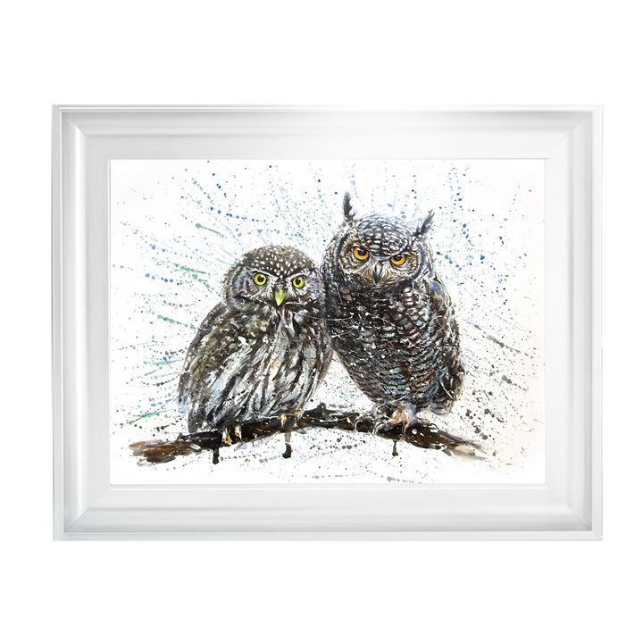 Owls