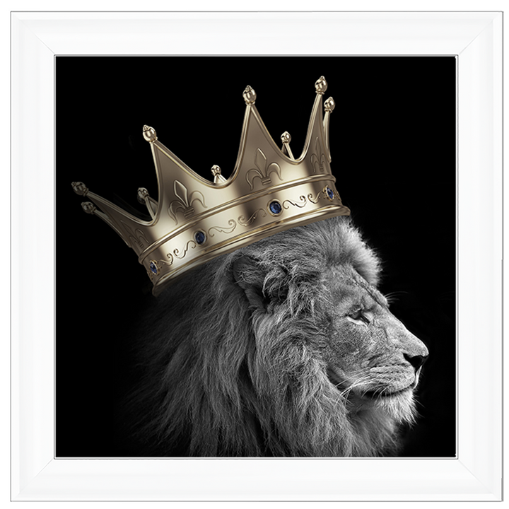 AN297 King Lion Gold