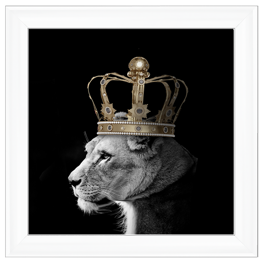 Queen Lion Gold