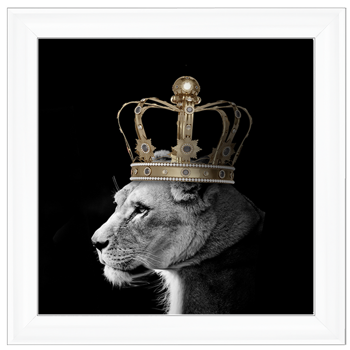 Queen Lion Gold