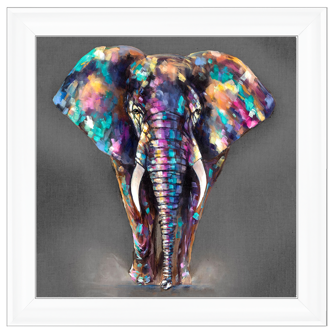 AN340 Colourful Elephant