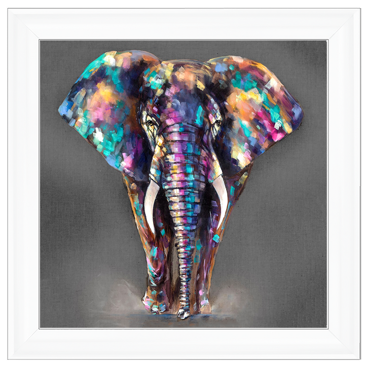 AN340 Colourful Elephant