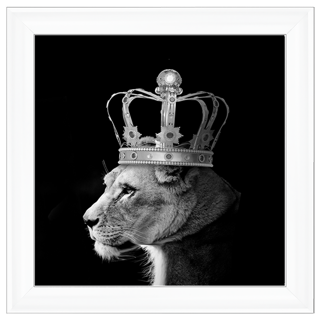 Queen Lion Silver