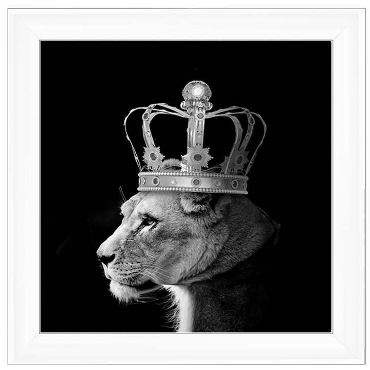 Queen Lion Silver