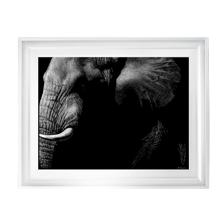 AN026 Wildlife Scratchboards III