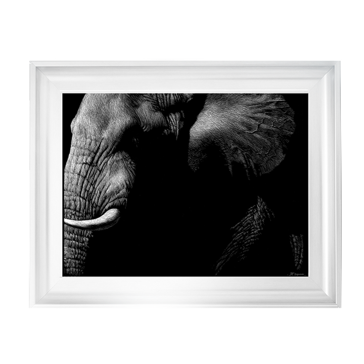 AN026 Wildlife Scratchboards III