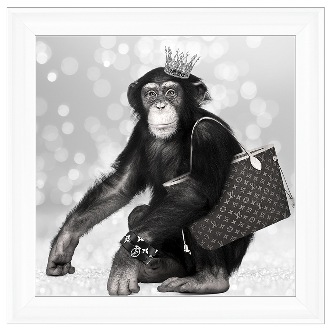 AN151 Designer Monkey