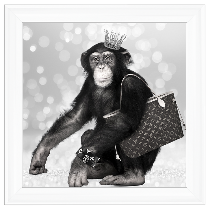 AN151 Designer Monkey