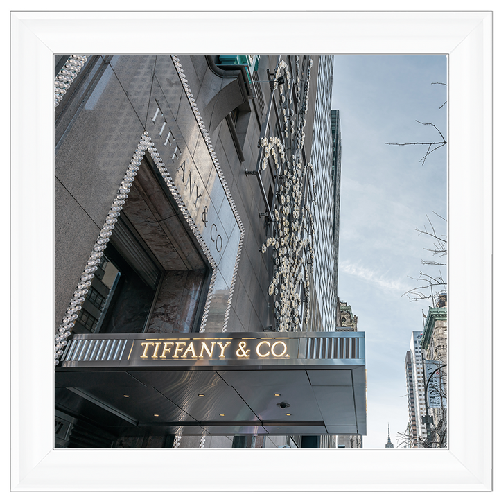 Store Front XV