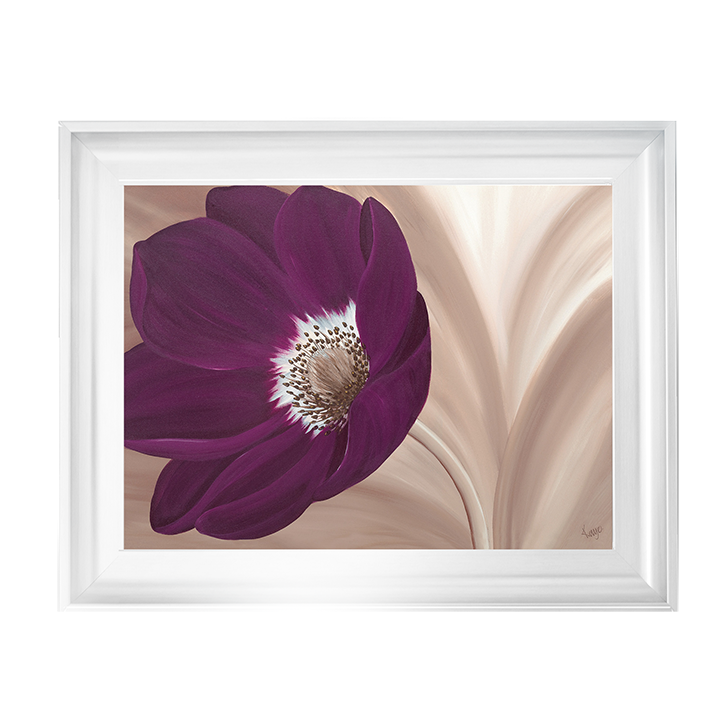 Velvet Anemone