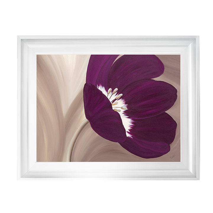 Velvet Poppy