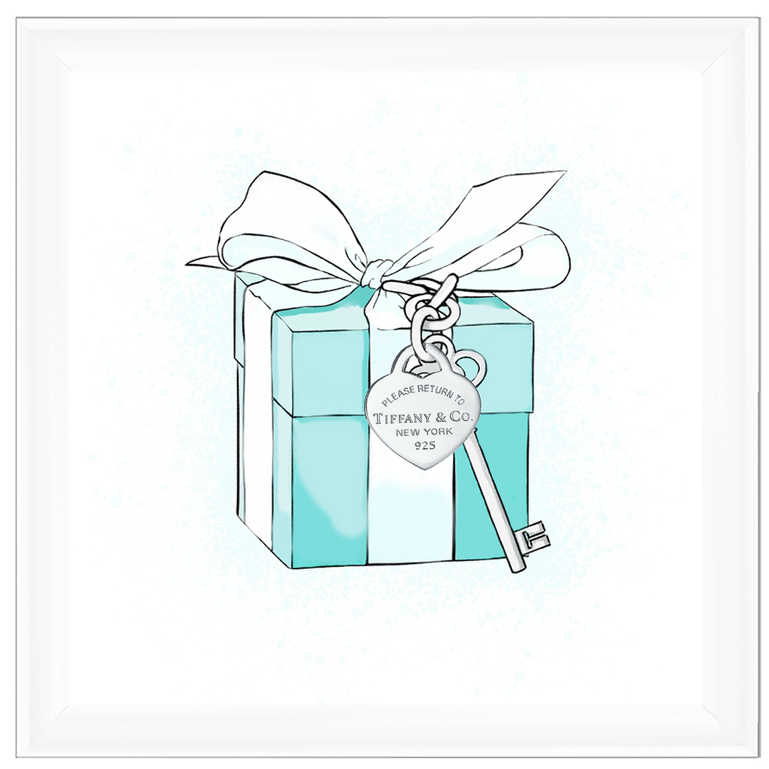FS617 Fashion Box