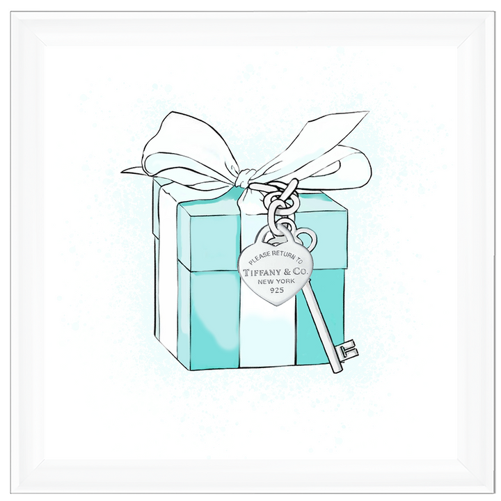 FS617 Fashion Box