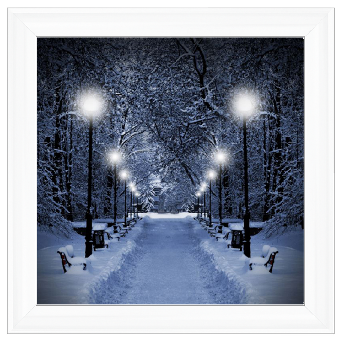 LS068 Wintery Park