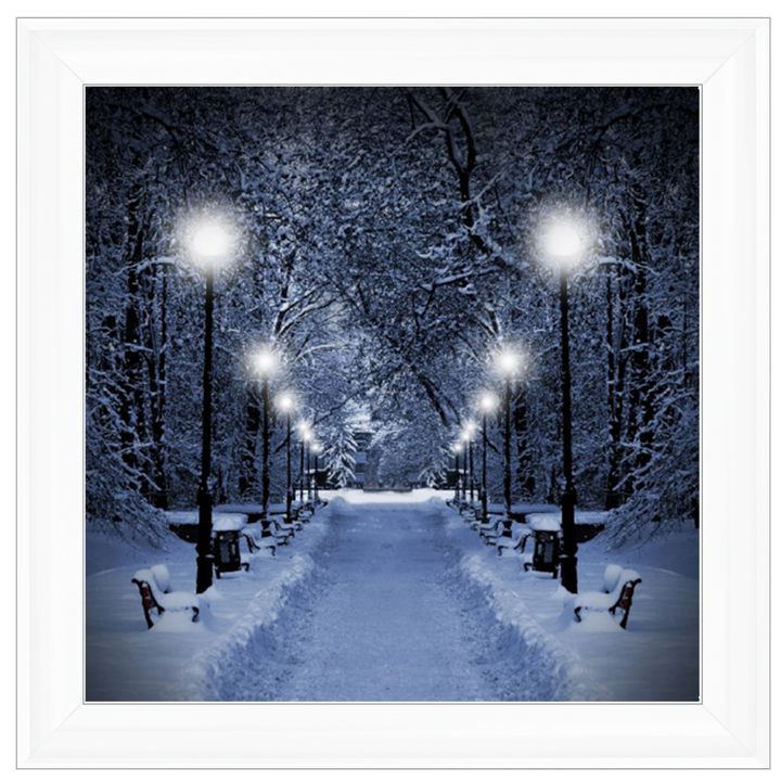LS068 Wintery Park
