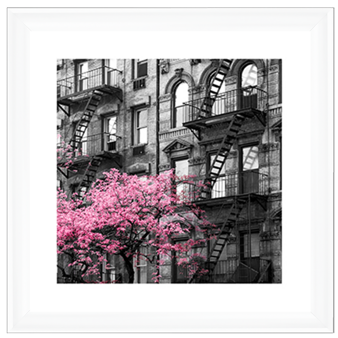 Pink City