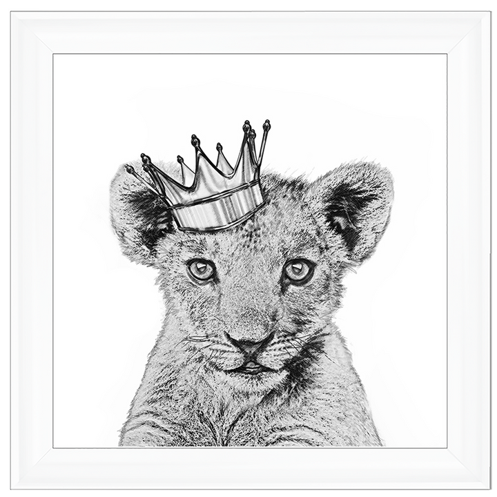 Prince Cub