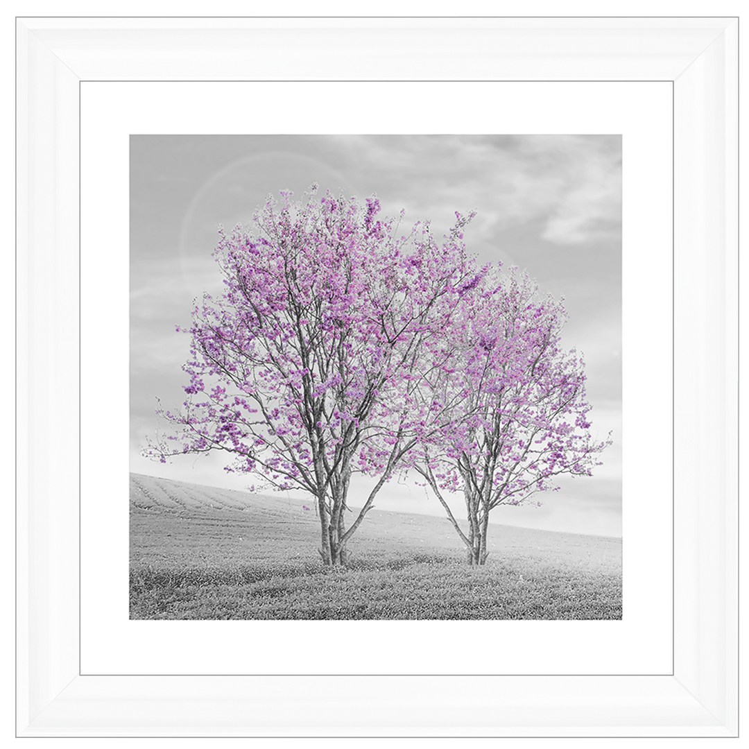 LS124 Purple Twin Trees
