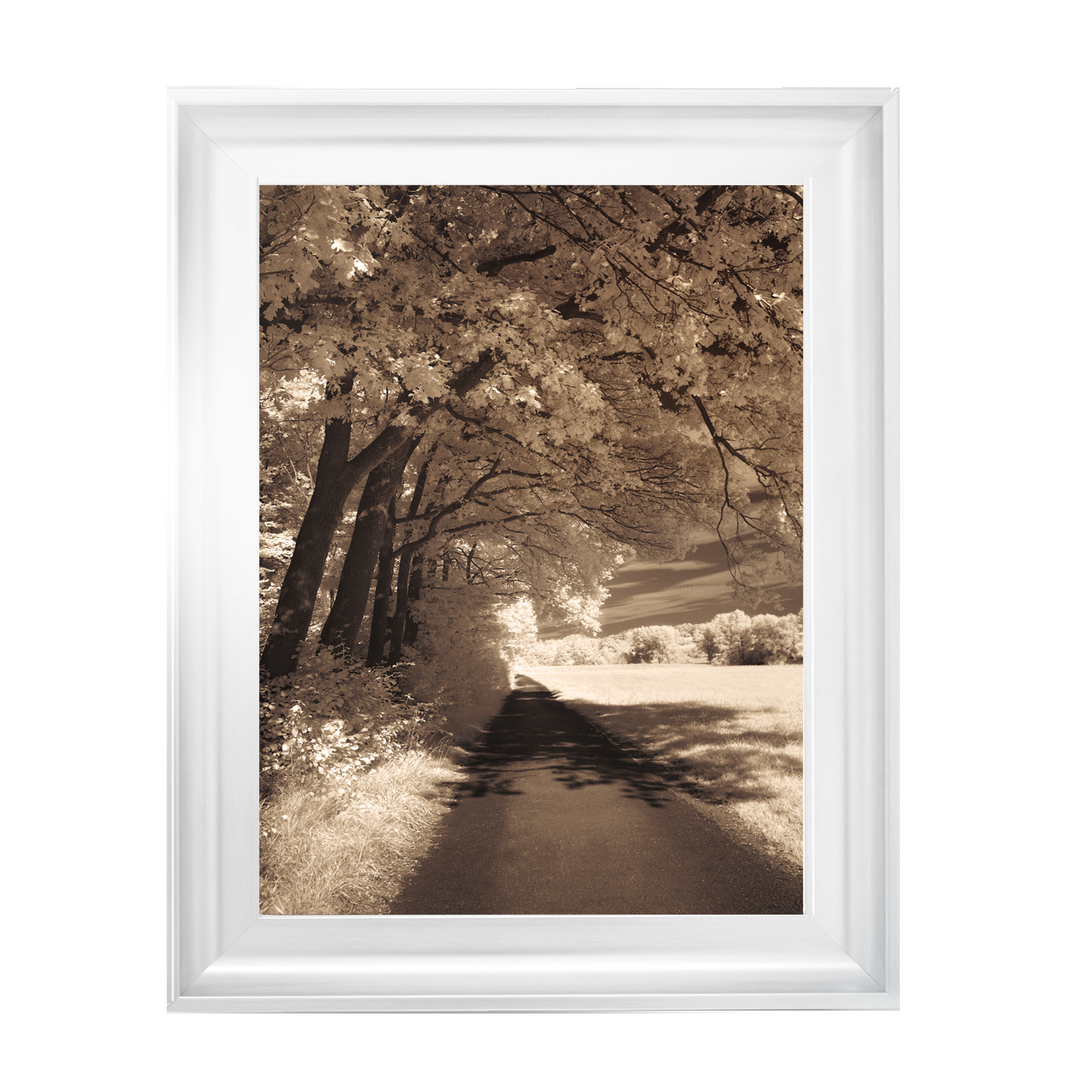 The Path Ahead