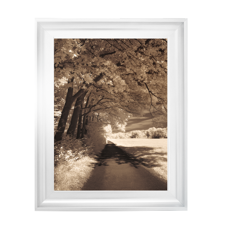 The Path Ahead