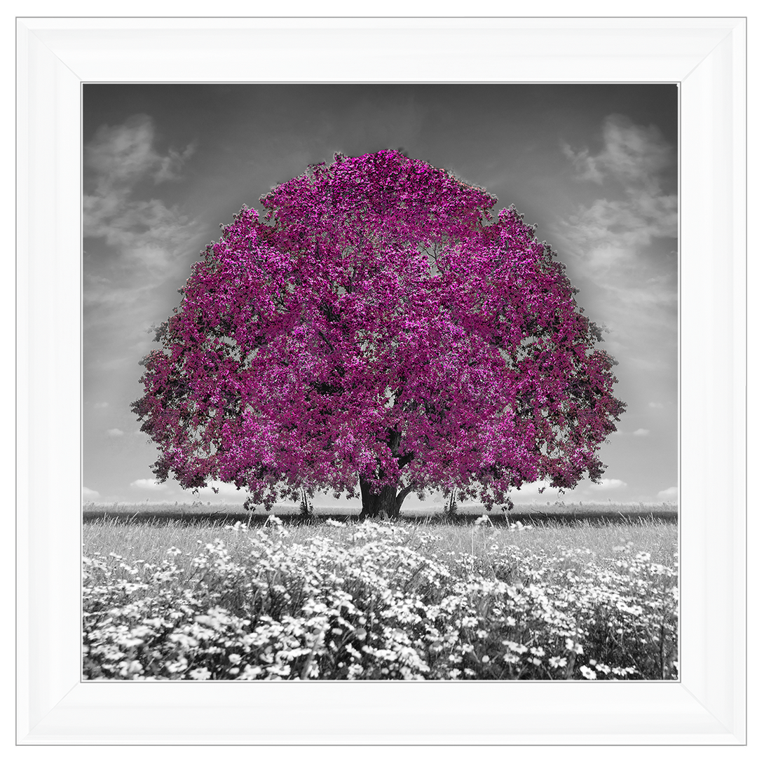 LS271 Purple Oak Tree