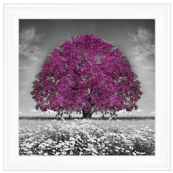 LS271 Purple Oak Tree