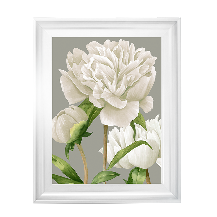White Peonies II