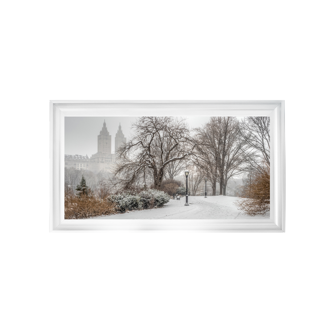 Winter City