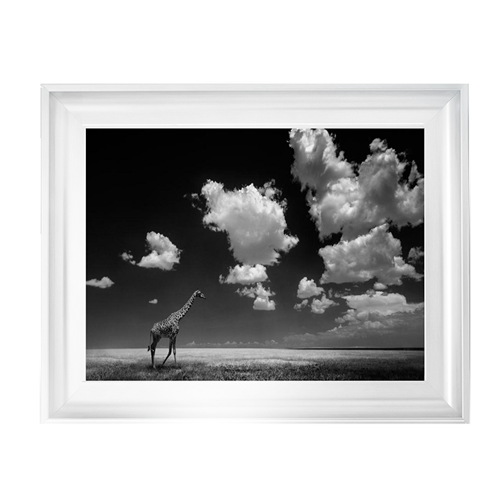 Ghizzi Panizza -Gone with the Clouds