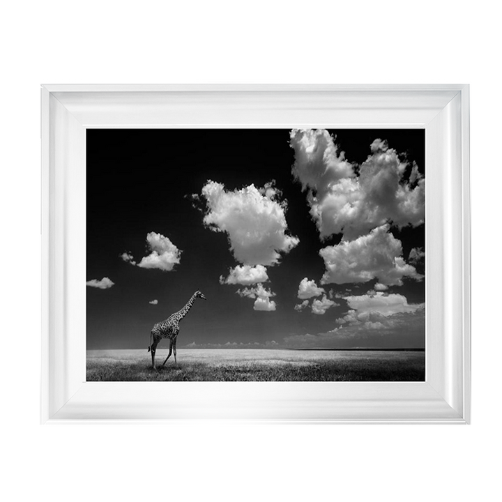 Ghizzi Panizza -Gone with the Clouds
