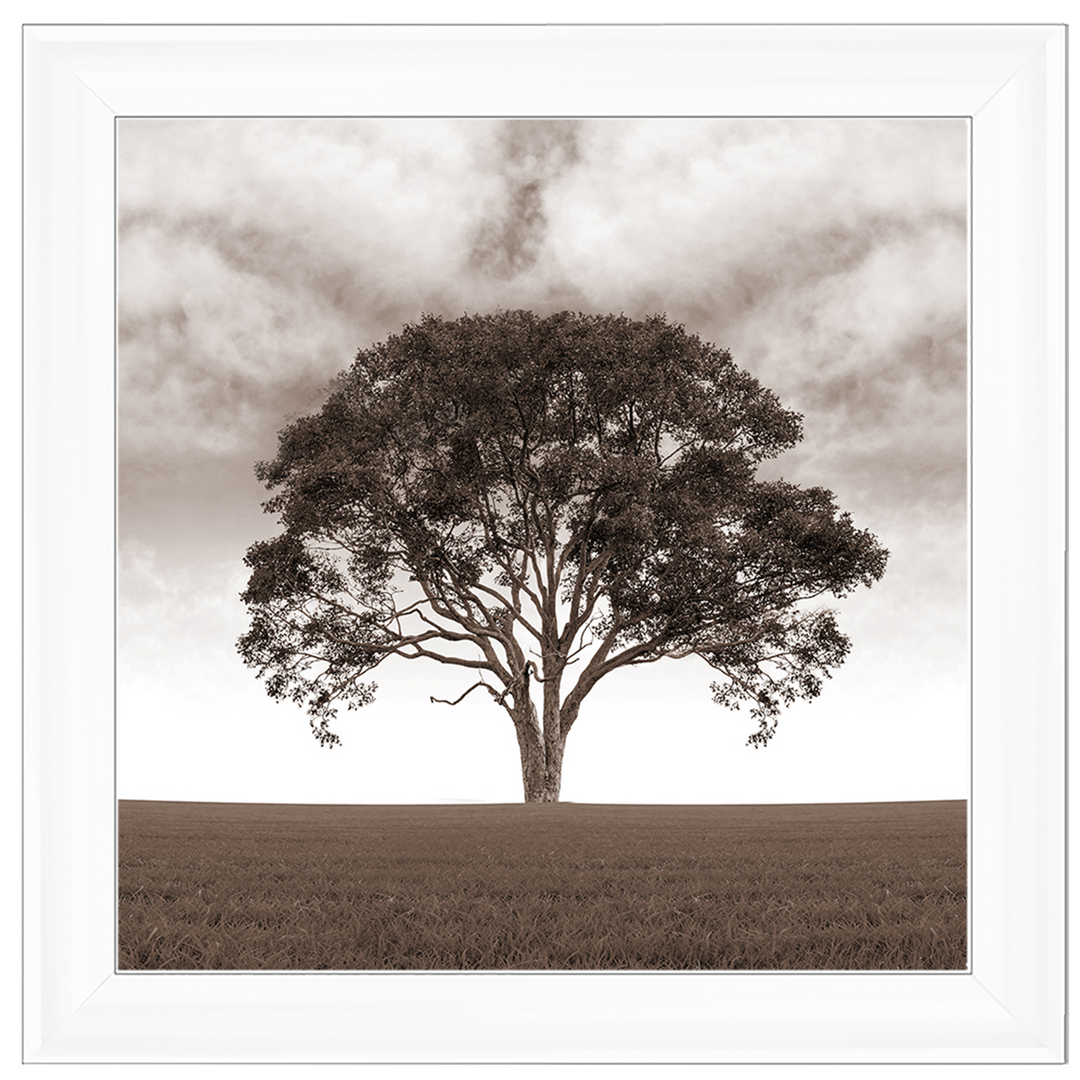 LS189 Lone Tree