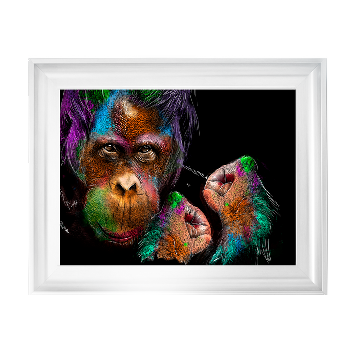 Orangutan