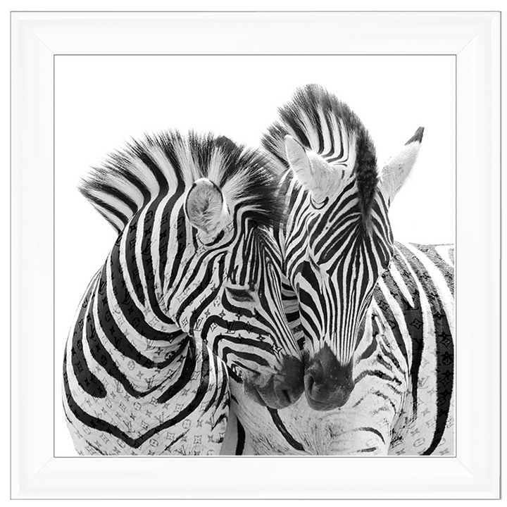 AN285 Zebra Love