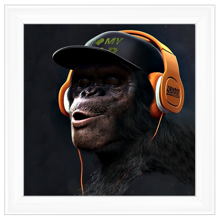 AN407 Hear No Evil