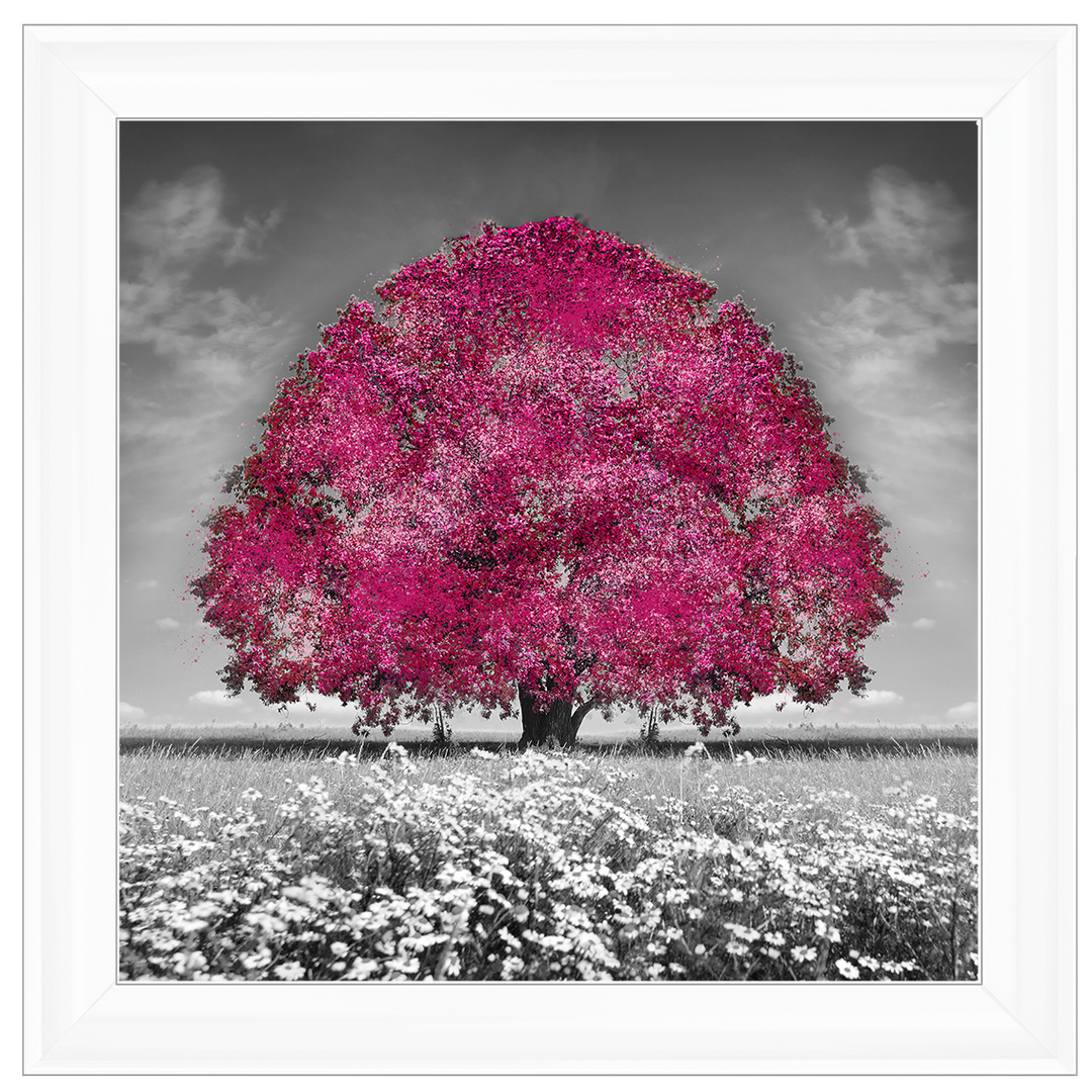 LS272 Pink Oak Tree