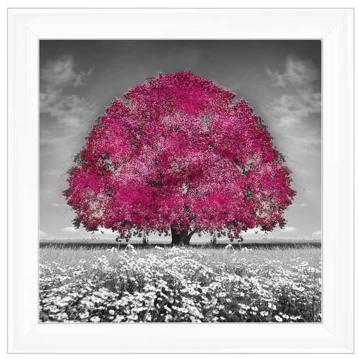 LS272 Pink Oak Tree