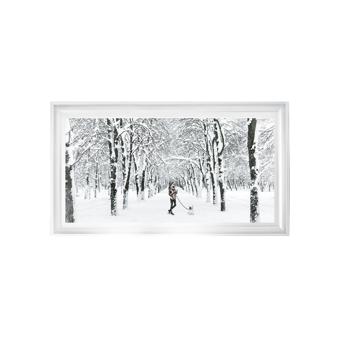 Winter Walk