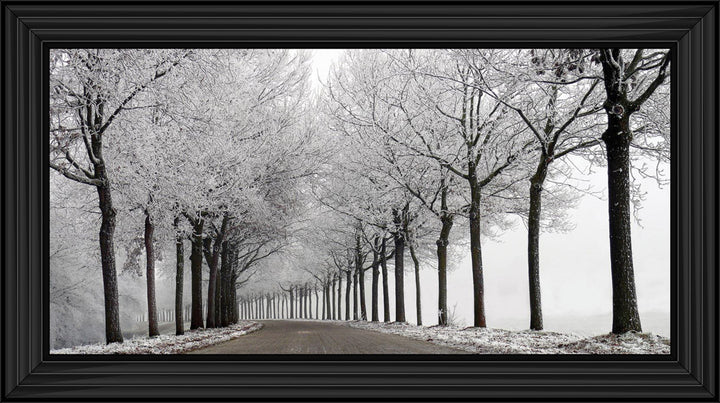 LS001 Trees On a Wintery Road Monochrome