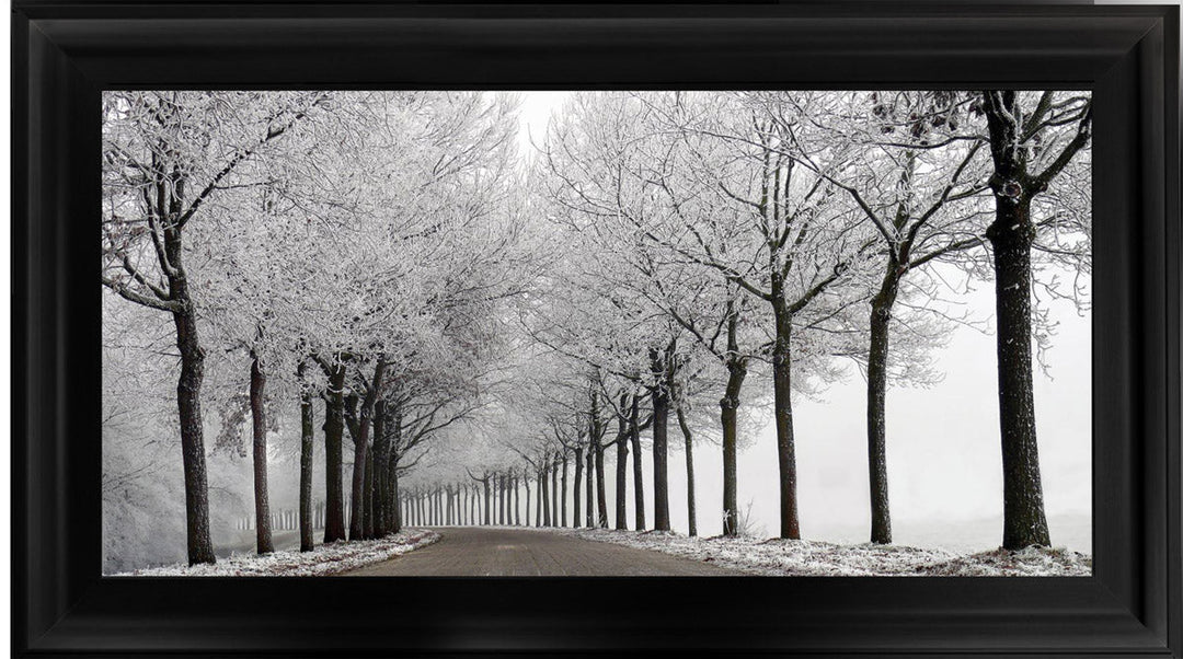 LS001 Trees On a Wintery Road Monochrome