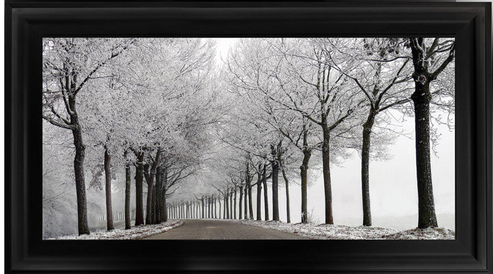 LS001 Trees On a Wintery Road Monochrome