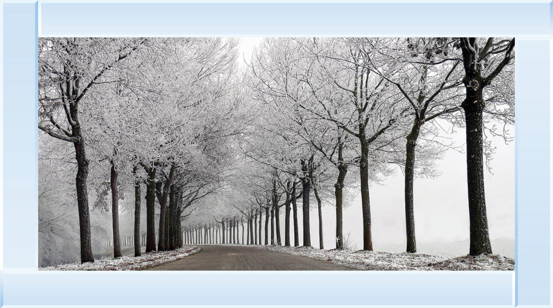 LS001 Trees On a Wintery Road Monochrome